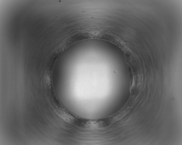 X0000074940613200609152006