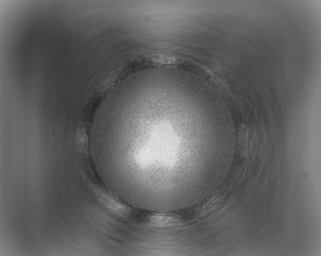 X0000074940614200609152006