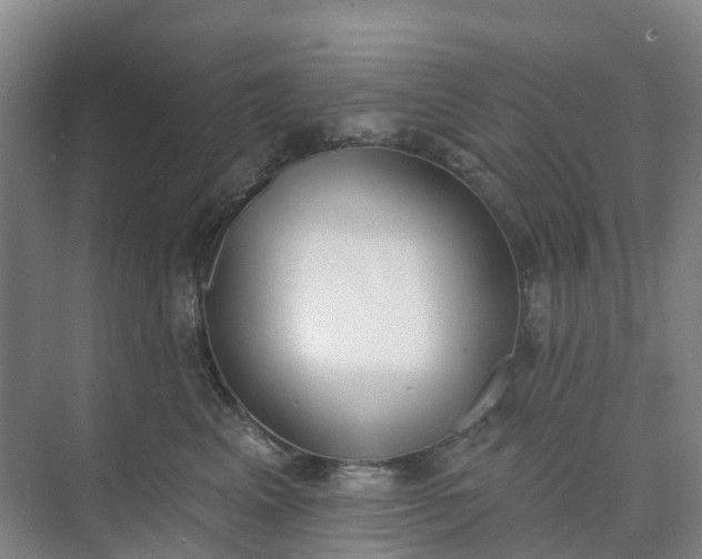 X0000074940617200609152006