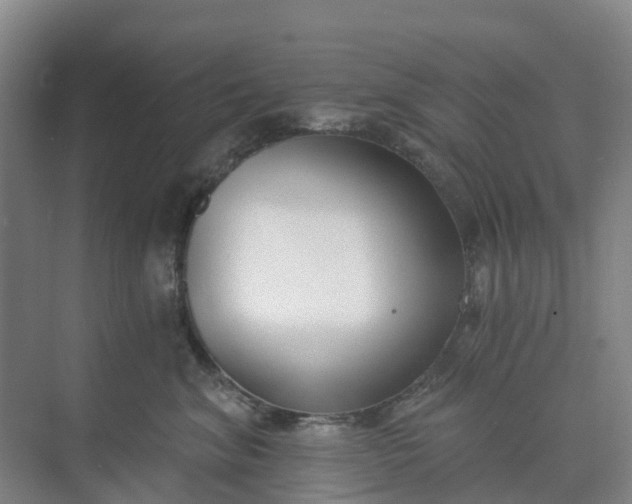 X0000074940620200609152006