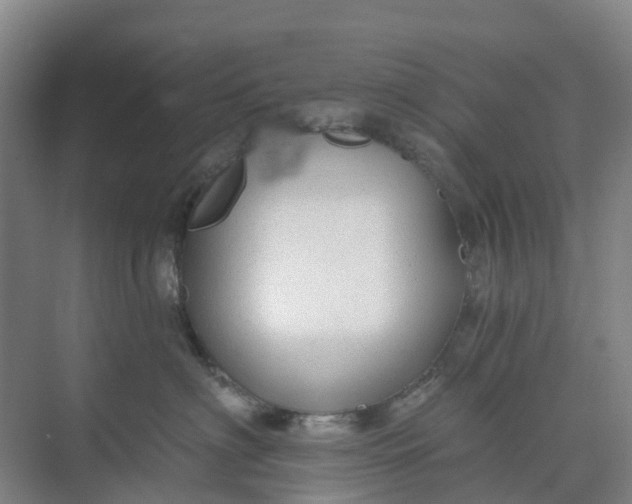 X0000074940622200609152006