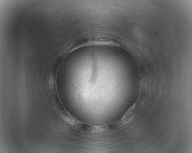 X0000074940623200609152006