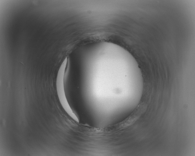 X0000074940624200609152006