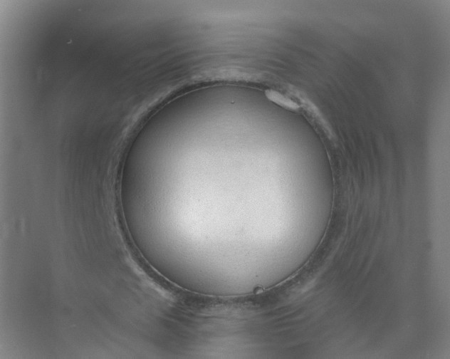 X0000074940625200609152005