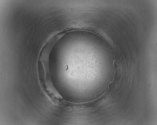 X0000074940626200609152005