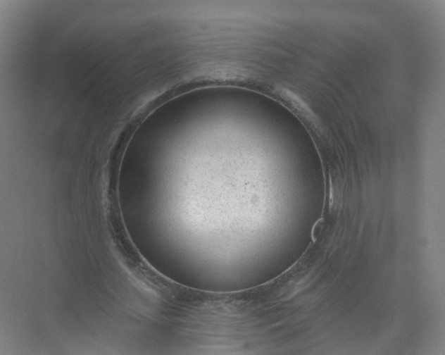 X0000074940627200609152005