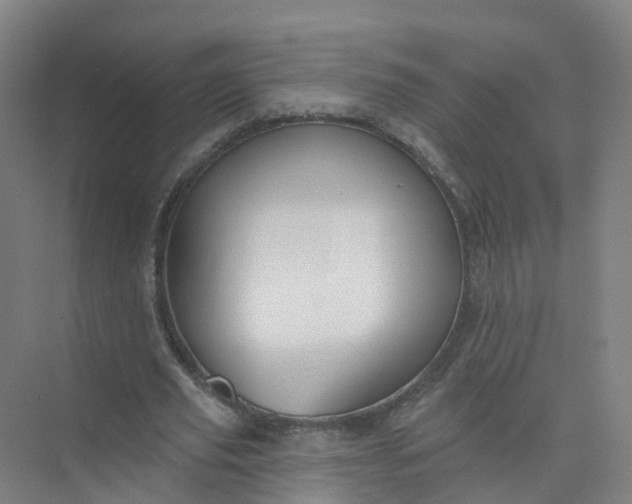 X0000074940629200609152005