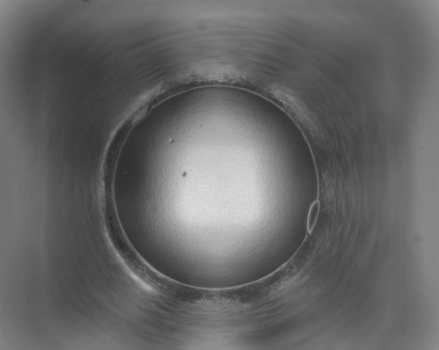 X0000074940630200609152005