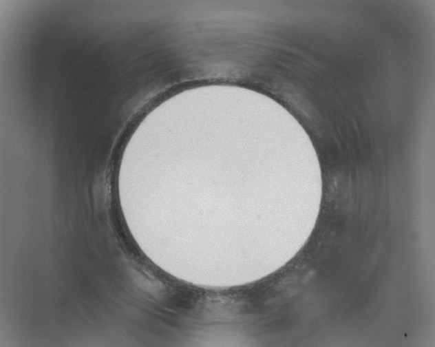 X0000074940632200609152005