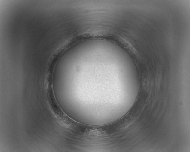 X0000074940635200609152005