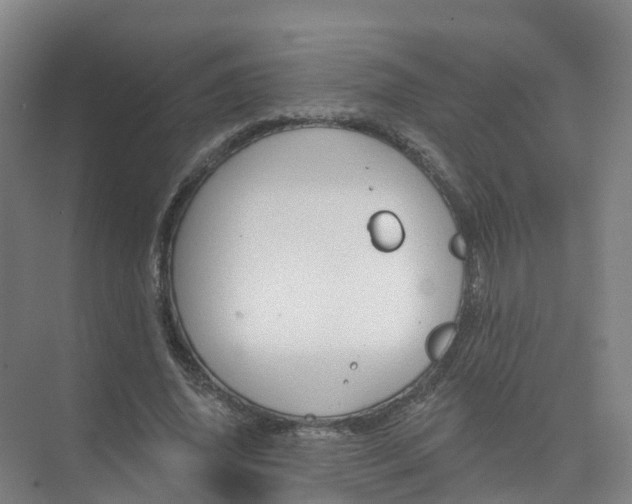 X0000074940636200609152005