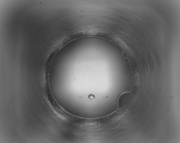 X0000074940638200609152005