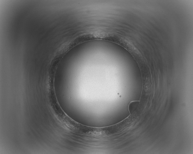 X0000074940639200609152005