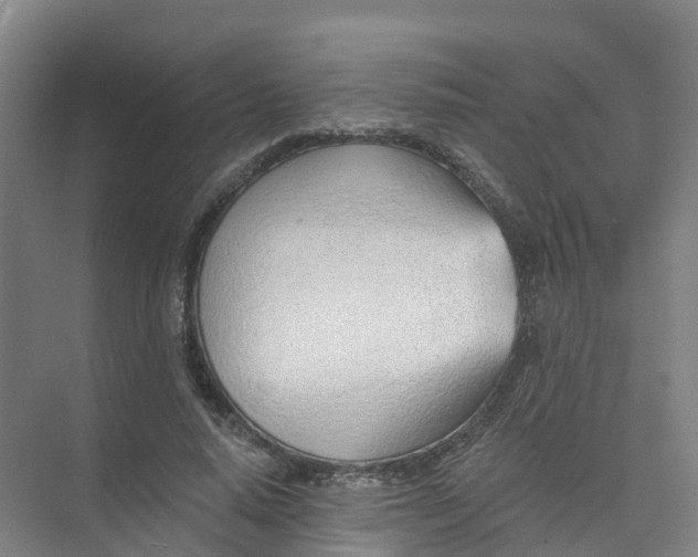 X0000074940640200609152005