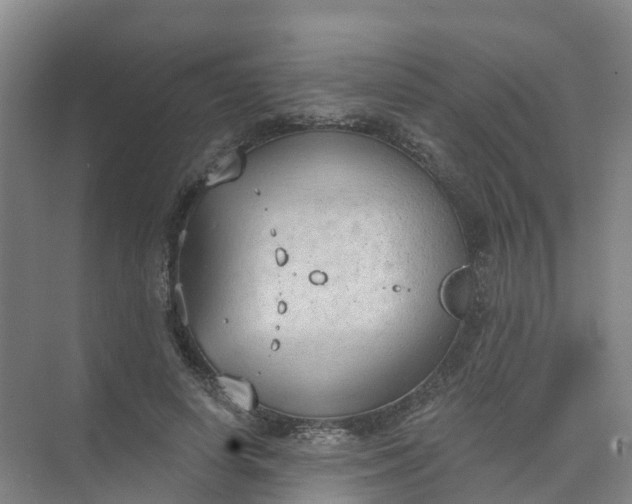 X0000074940642200609152006