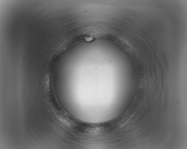 X0000074940646200609152006