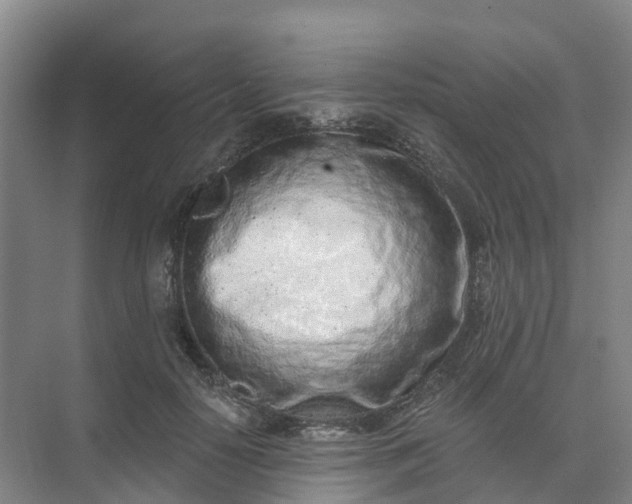 X0000074940650200609152006