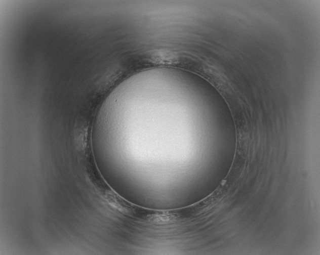 X0000074940652200609152006