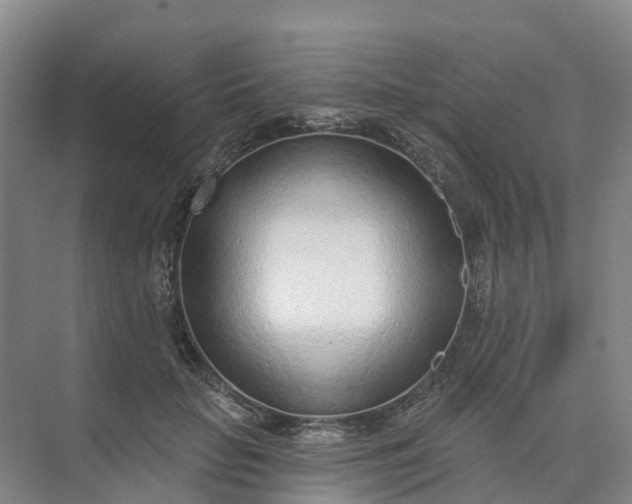 X0000074940653200609152006