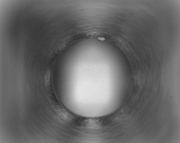 X0000074940660200609152006