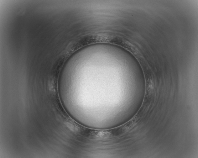 X0000074940663200609152006