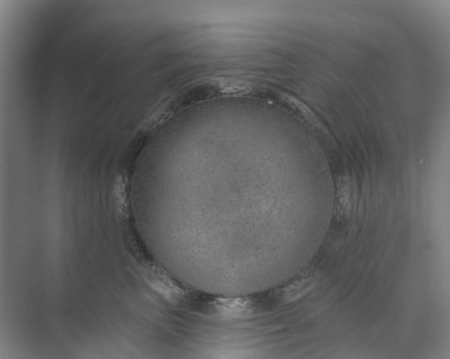 X0000074940667200609152006