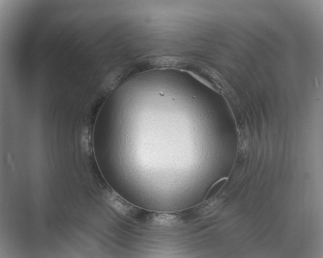 X0000074940669200609152006