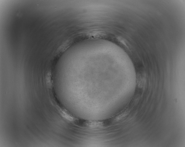 X0000074940670200609152006