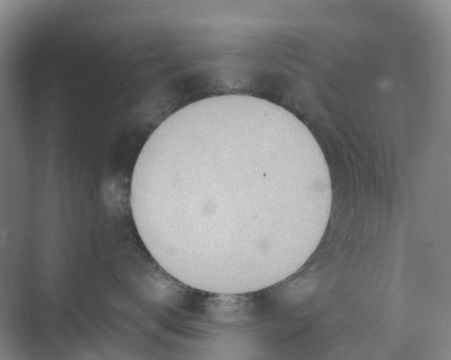 X0000074940672200609152006