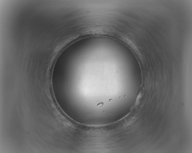 X0000074940673200609152005