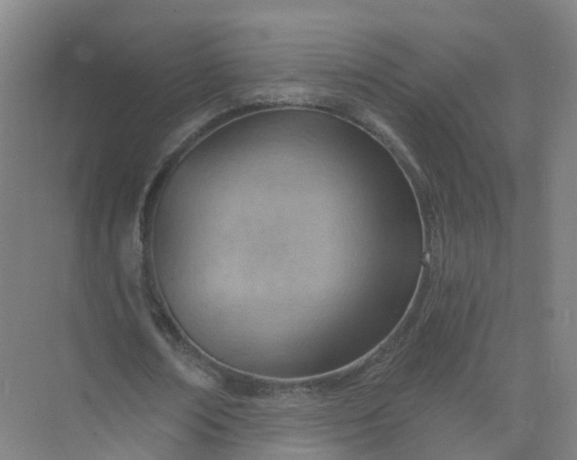 X0000074940674200609152005