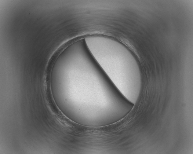 X0000074940676200609152005