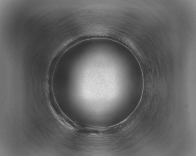 X0000074940677200609152005