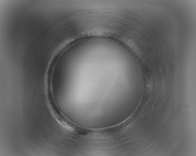 X0000074940678200609152005