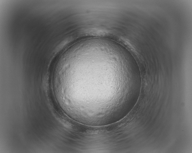 X0000074940679200609152005