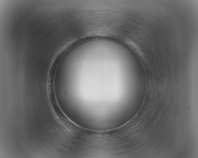 X0000074940680200609152005