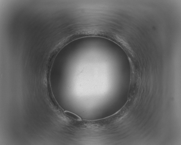 X0000074940681200609152005