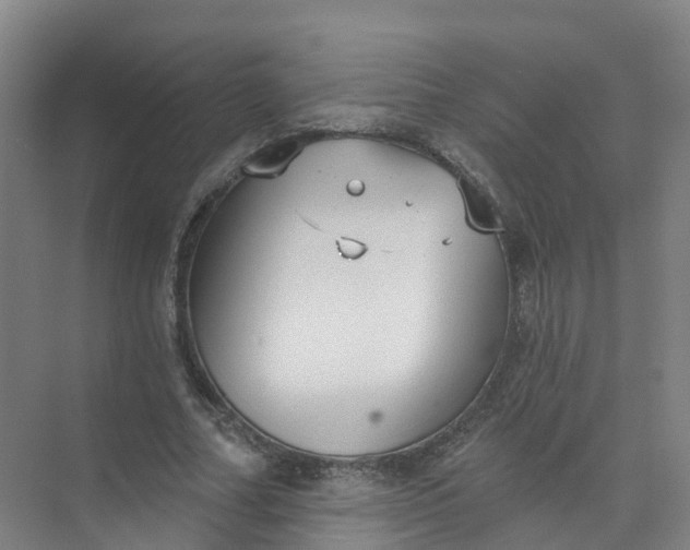 X0000074940682200609152005