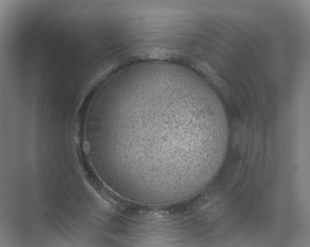 X0000074940683200609152005