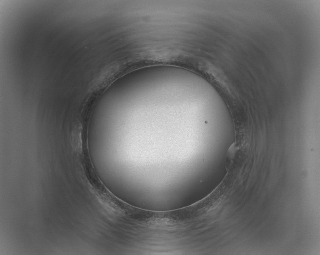 X0000074940685200609152005