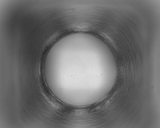 X0000074940686200609152005