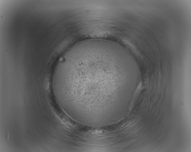 X0000074940687200609152005