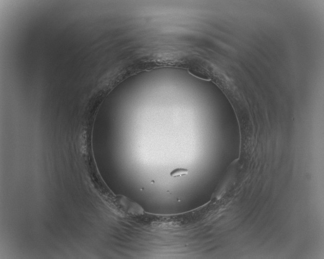 X0000074940689200609152005