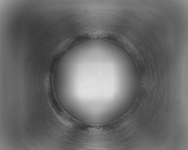 X0000074940690200609152005