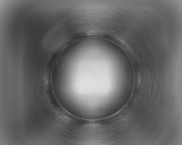 X0000074940691200609152005