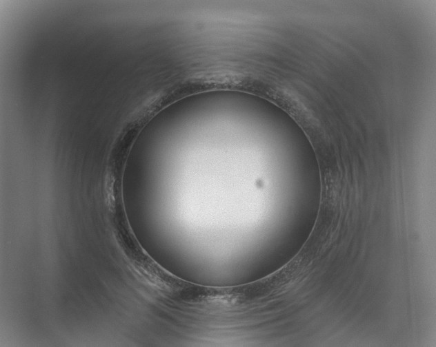 X0000074940692200609152005