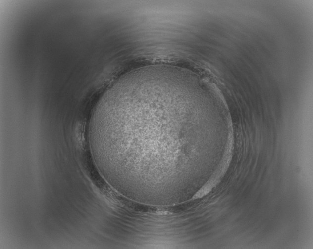 X0000074940695200609152005