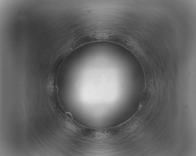 X0000074940697200609152005