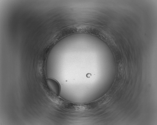 X0000074940698200609152005