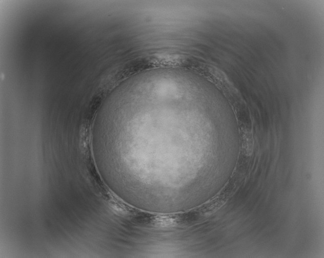 X0000074940701200609152005